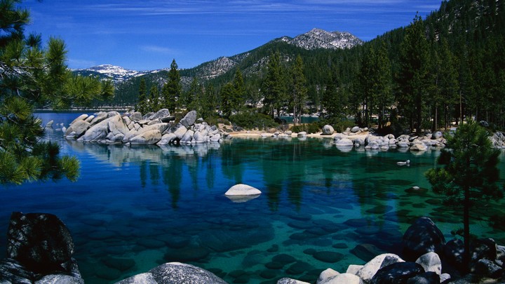 Join us in July at our South Lake Tahoe art retreat!